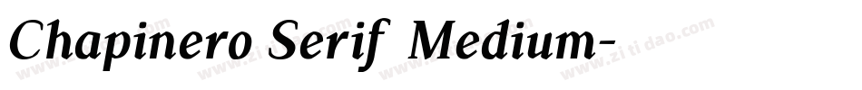 Chapinero Serif Medium字体转换